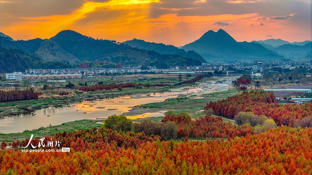 浙江淳安：武强溪生态湿地五彩斑斓【7】