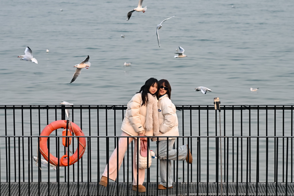 游人跟飞翔的海鸥合影（12月10日摄）。