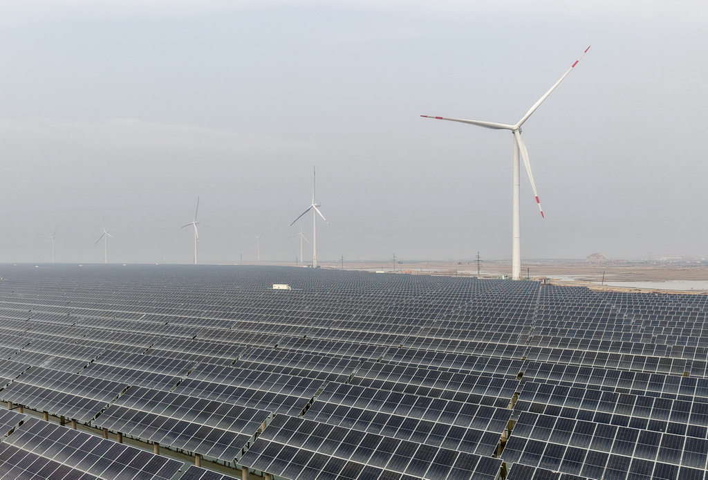 12月10日拍摄的河北省沧州市渤海新区黄骅市一处风电场和“渔光互补”光伏发电场（无人机照片）。