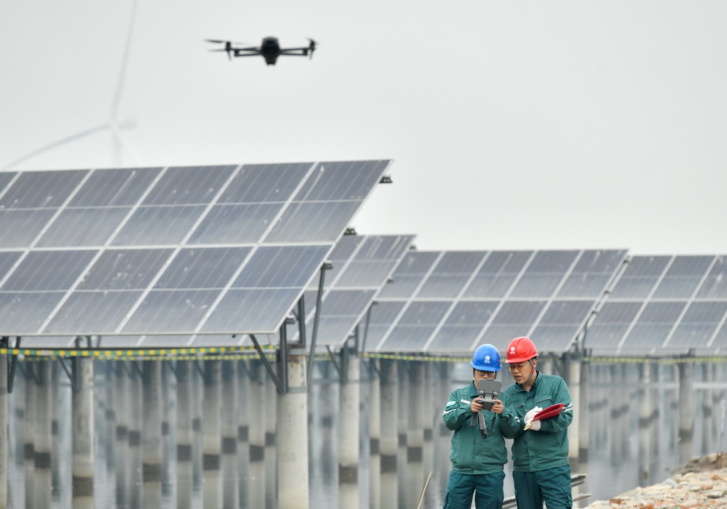 12月10日，国网沧州供电公司的工人在辖区渤海新区黄骅市一处“渔光互补”光伏发电场使用无人机巡检。