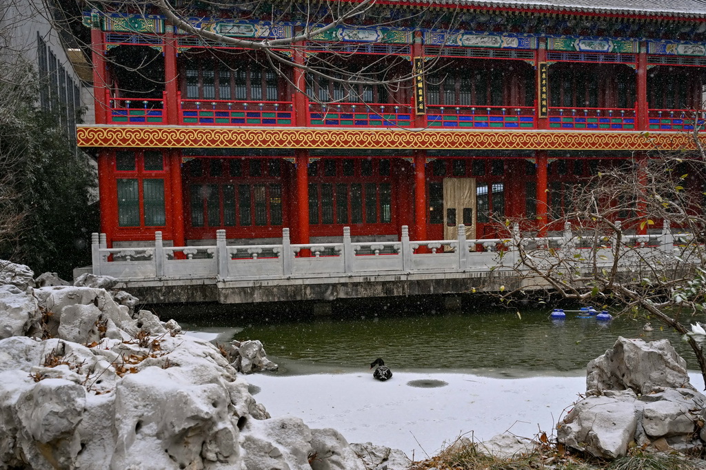 12月12日在中国园林博物馆拍摄的雪景。新华社记者 张铖 摄