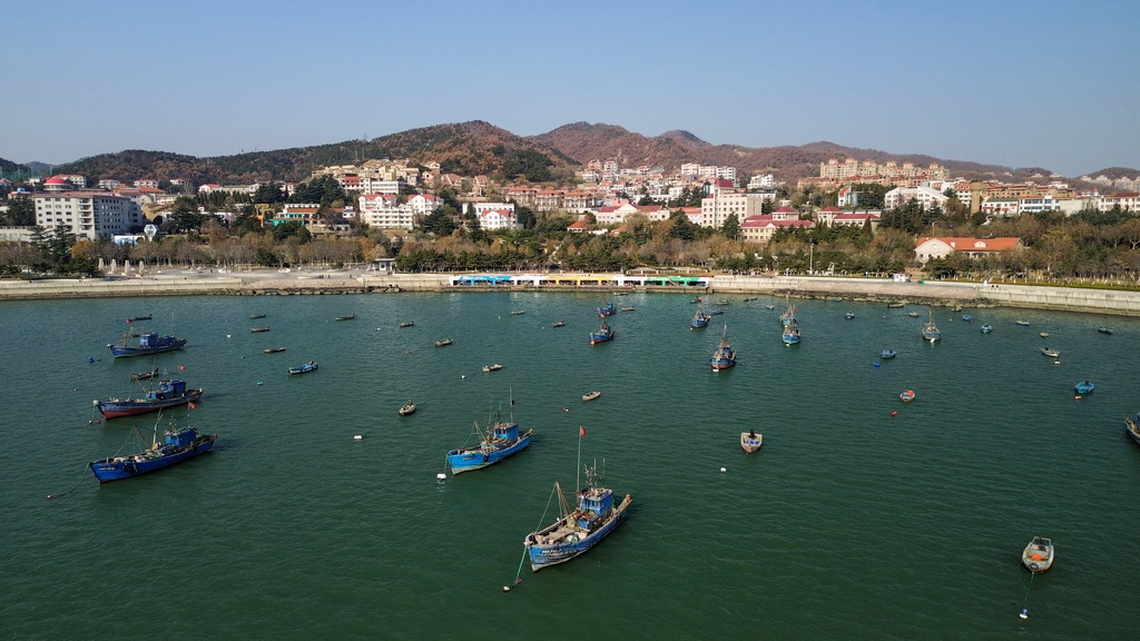 这是12月9日拍摄的威海城市景色(无人机照片)。