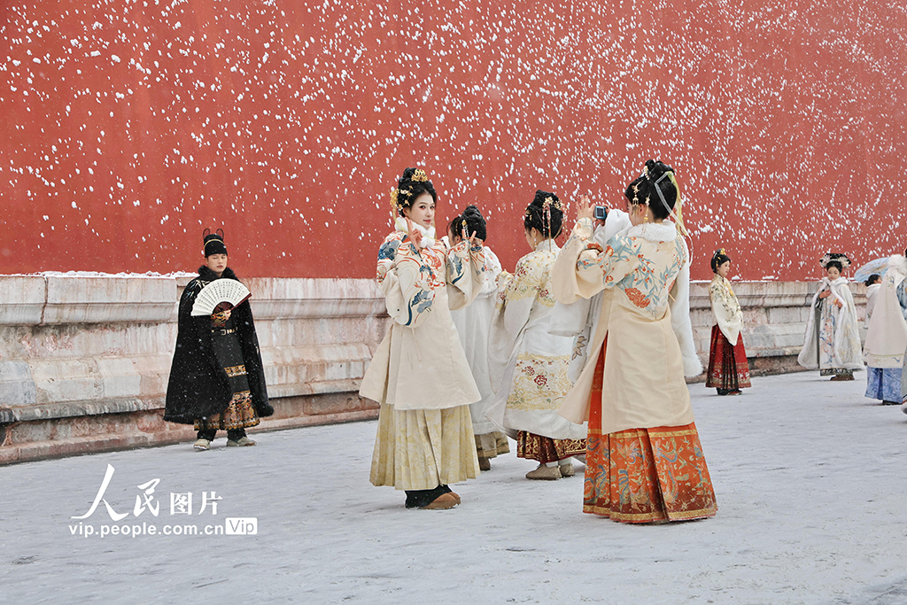 北京迎来冬季首场降雪 故宫银装素裹【5】