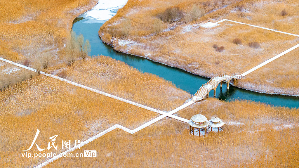 甘肃张掖：雪后湿地【4】