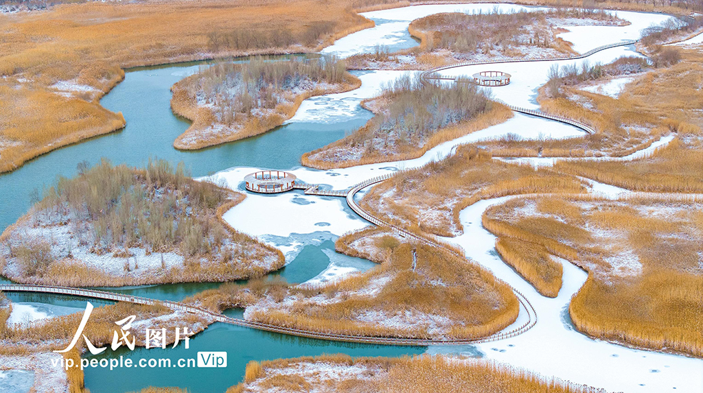 甘肃张掖：雪后湿地【5】