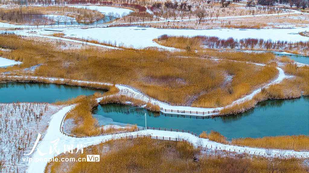 甘肃张掖：雪后湿地【7】