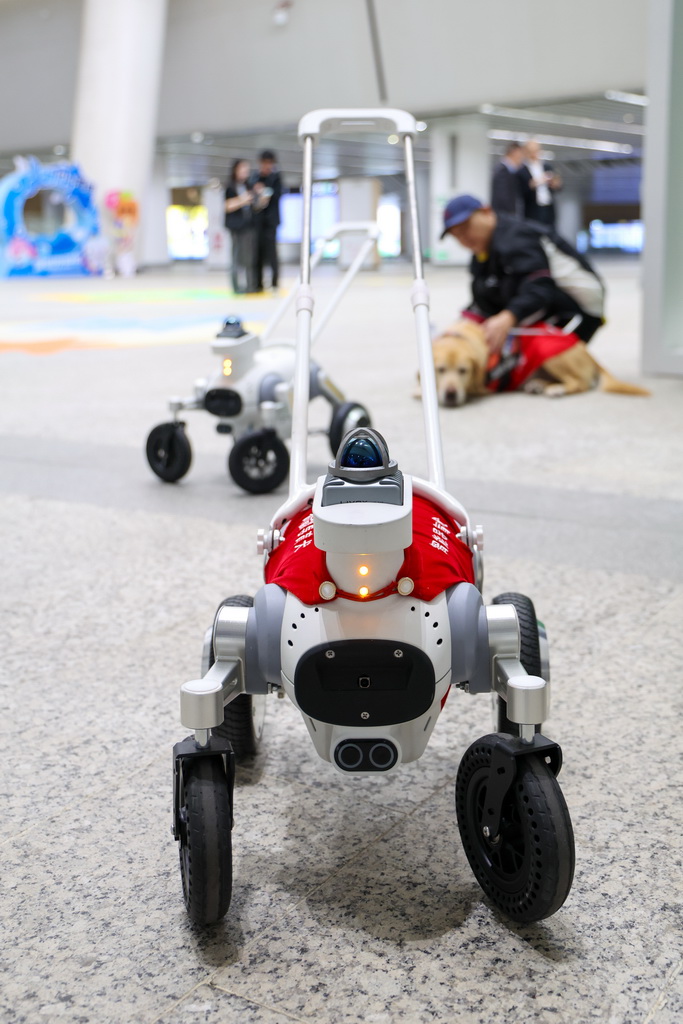 这是12月13日在深圳地铁黄木岗交通枢纽拍摄的智能导盲犬“小蒜”。