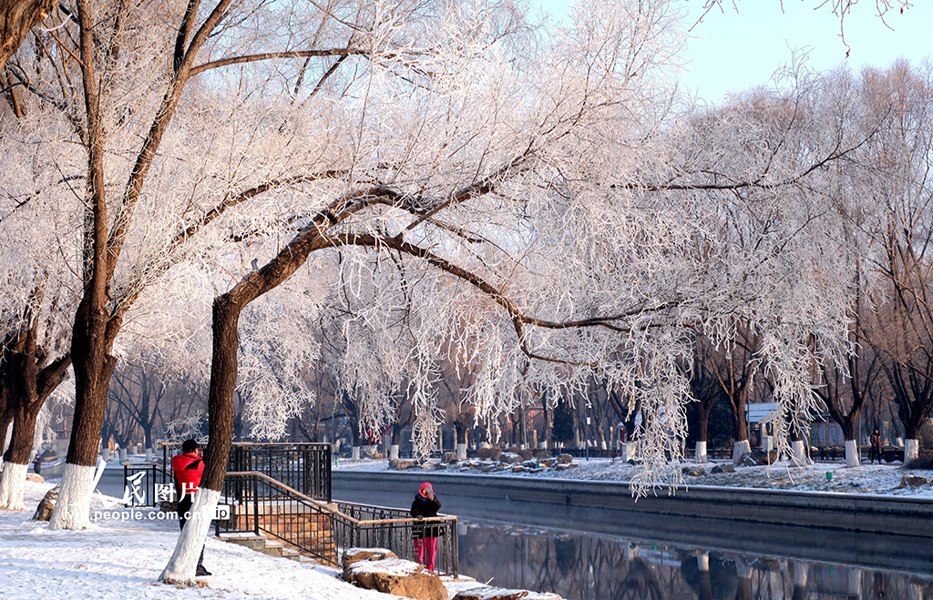 辽宁沈阳：雾凇美景醉游人【3】
