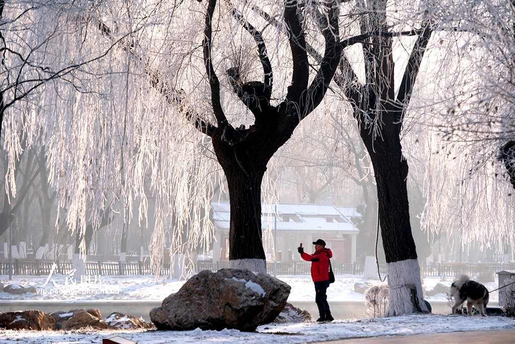 辽宁沈阳：雾凇美景醉游人【5】