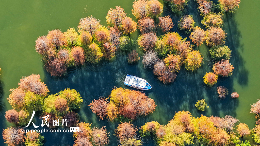 广西南宁:花花大世界景区冬景如画醉游人【3】