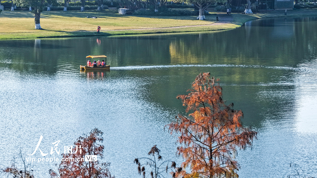 广西南宁:花花大世界景区冬景如画醉游人【6】