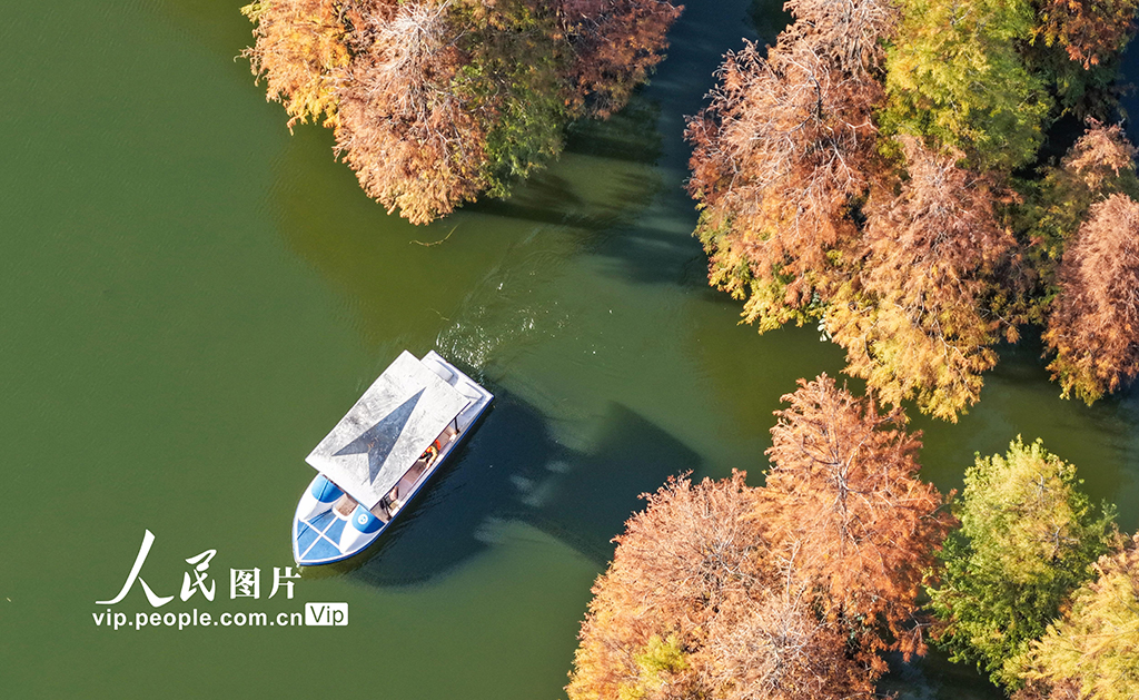 广西南宁：花花大世界景区冬景如画醉游人【4】