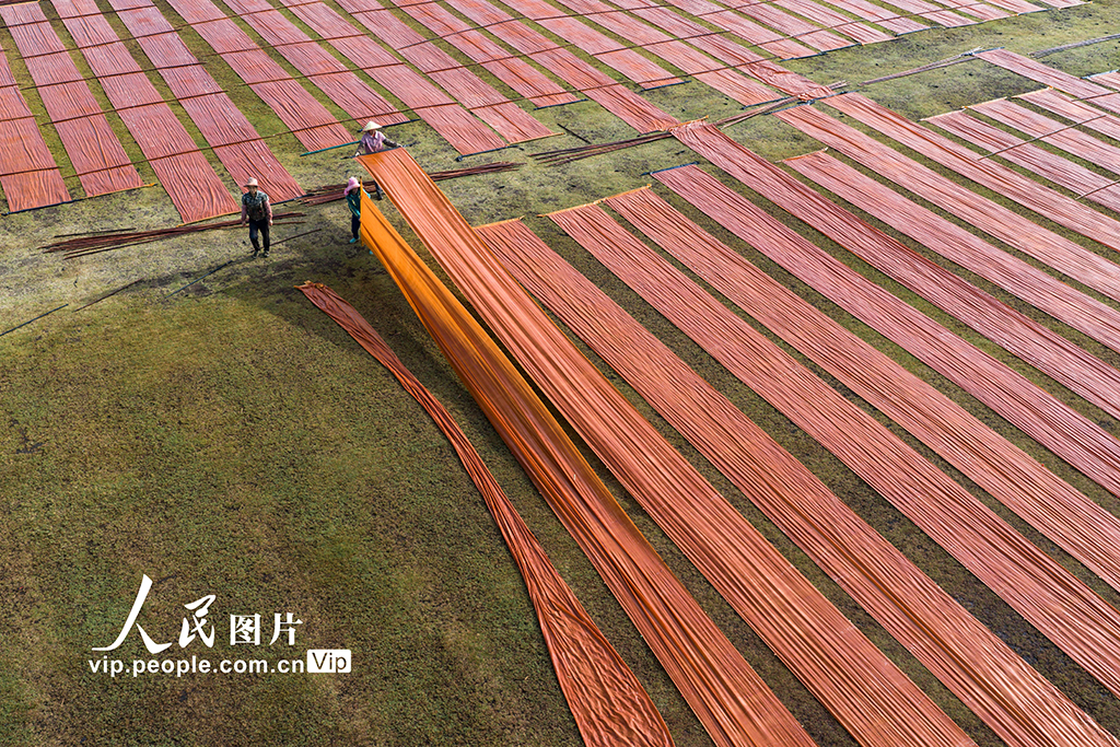 广西蒙山：晾晒香云纱【2】