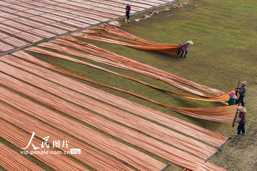 广西蒙山：晾晒香云纱【5】