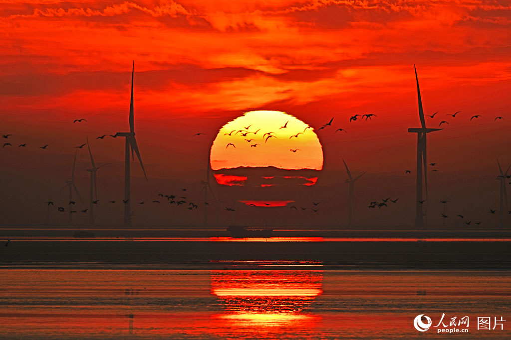 我国离岸最远海上风电项目实现全容量并网【6】