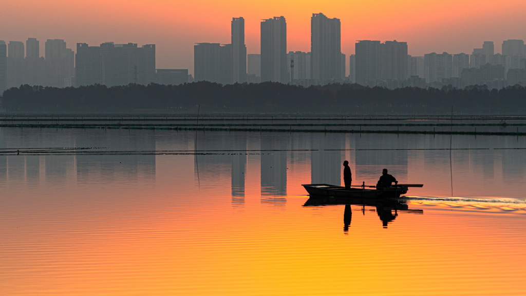 12月6日，工作人员在武汉市金银湖进行清漂作业。新华社记者 沈虹冰 摄