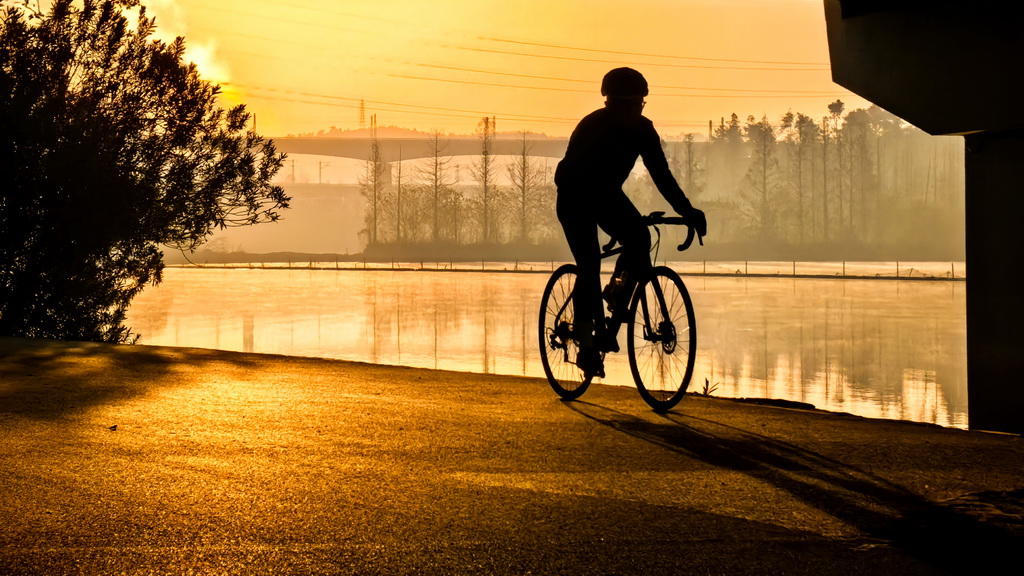 12月14日，骑行爱好者在武汉市东湖风景区骑行。新华社记者 肖艺九 摄