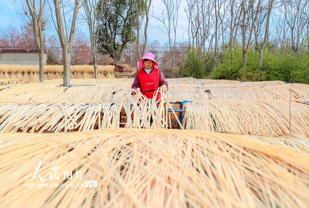 浙江长兴:竹子加工助力乡村振兴【5】