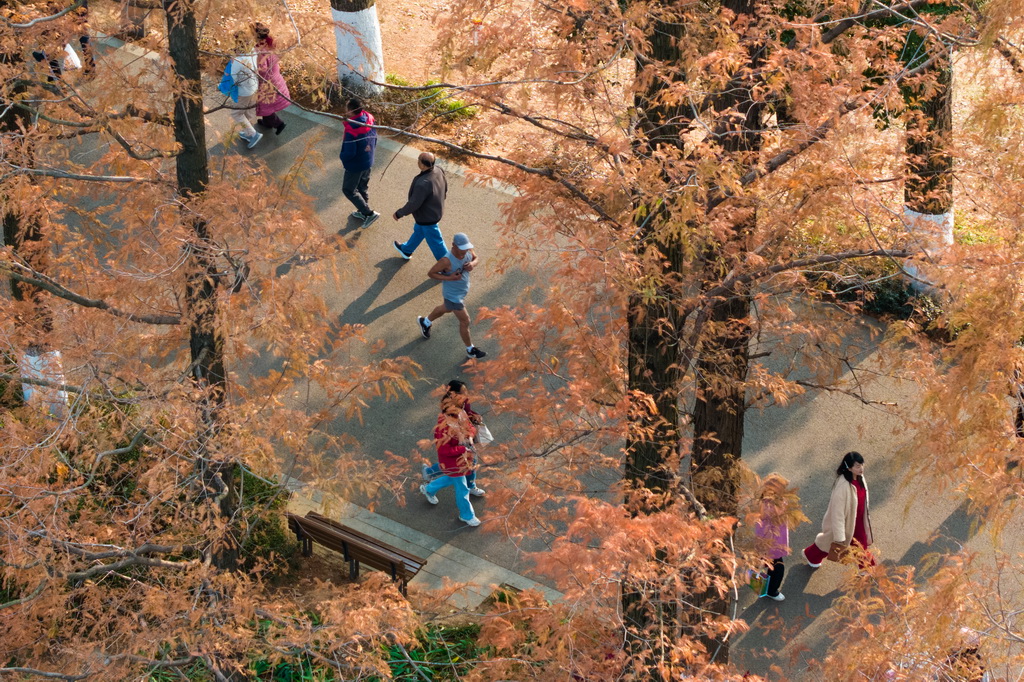 12月18日，市民在长沙市烈士公园游玩（无人机照片）。