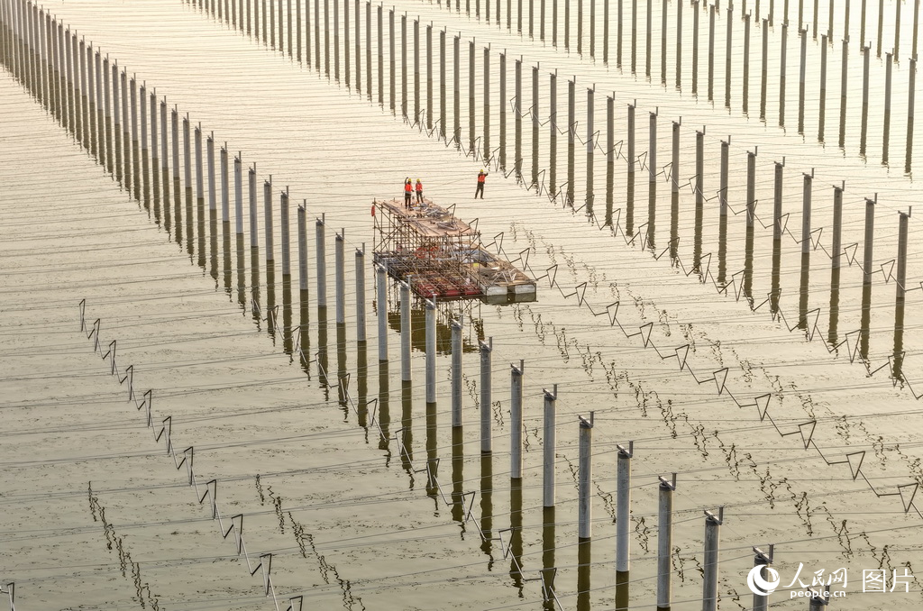 盐城市系统推进滨海湿地保护成效显著【2】