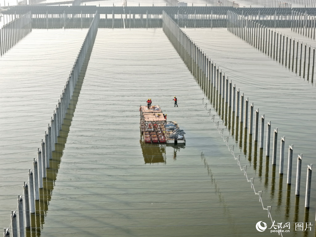 盐城市系统推进滨海湿地保护成效显著【3】