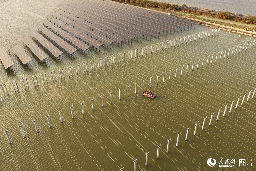 盐城市系统推进滨海湿地保护成效显著【4】