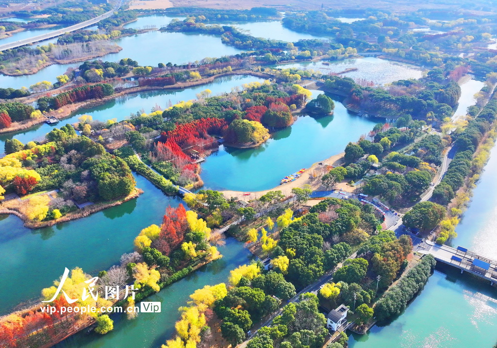 江苏苏州：虎丘湿地色彩斑斓美如画【4】