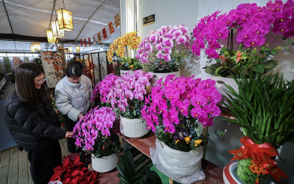 12月23日，顾客在绍兴花市里选购各类年宵花卉。