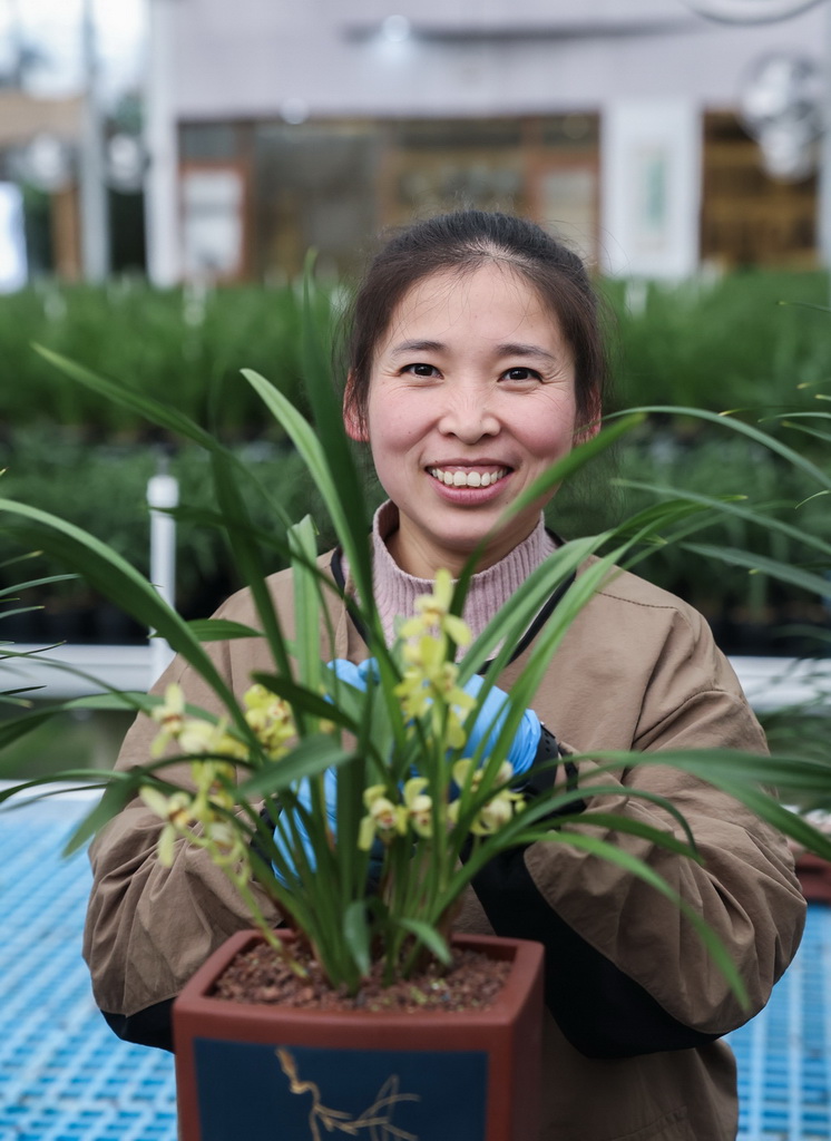 12月23日,在位于浙江省绍兴市柯桥区漓渚镇的国兰家庭农场内,种植户杜红平展示一盆绽放的兰花。
