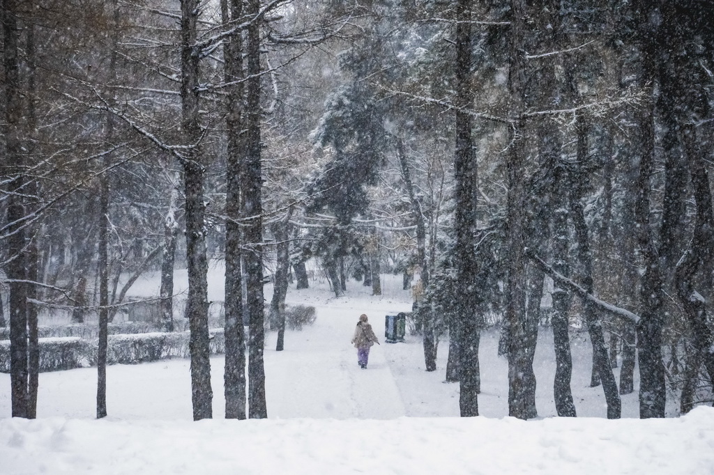12月23日，长春市民冒雪出行。