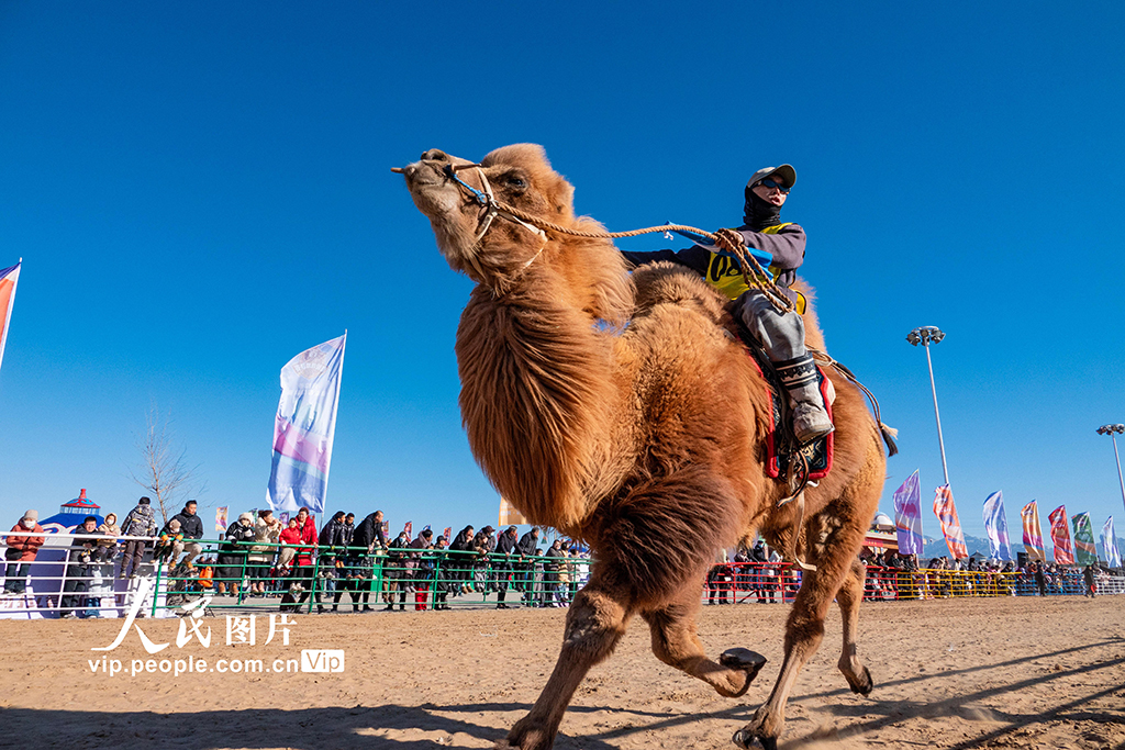 内蒙古：2025阿拉善骆驼超级联赛开幕【4】