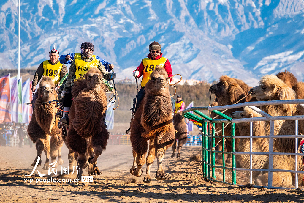 内蒙古：2025阿拉善骆驼超级联赛开幕【3】