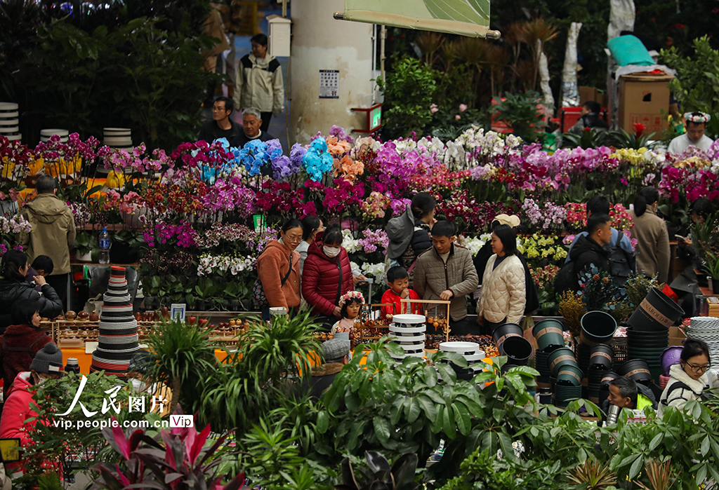 云南昆明：新年临近 鲜花俏销【2】