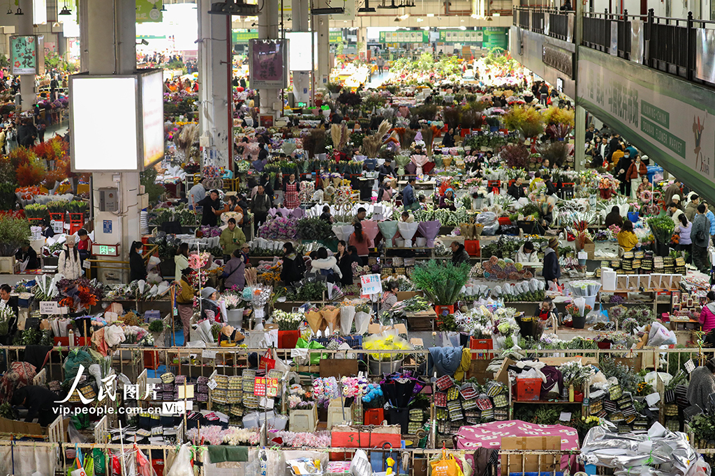 云南昆明：新年临近 鲜花俏销【3】