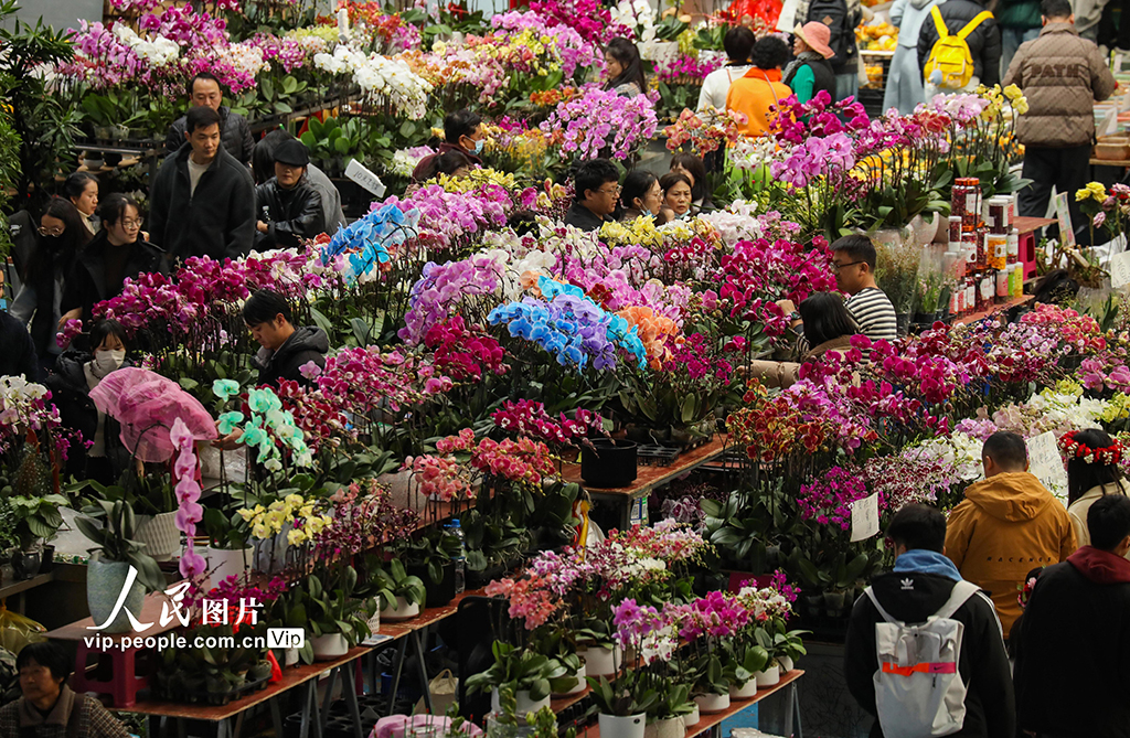 云南昆明：新年临近 鲜花俏销【5】