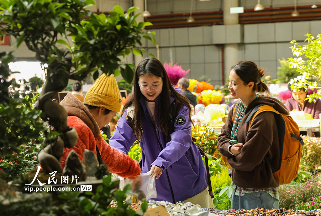 云南昆明：新年临近 鲜花俏销【7】