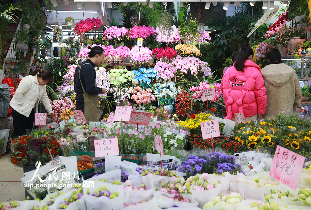 江苏南京:购花卉 迎新年【5】