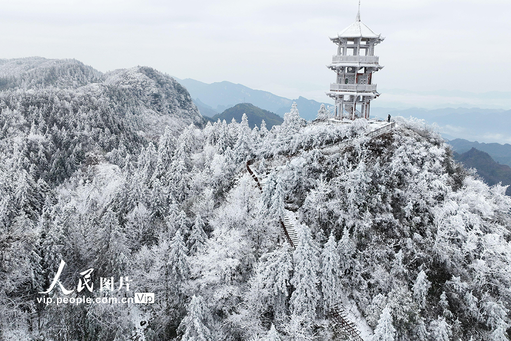 重庆：冰雪裹群山 雾凇绘冬韵【2】