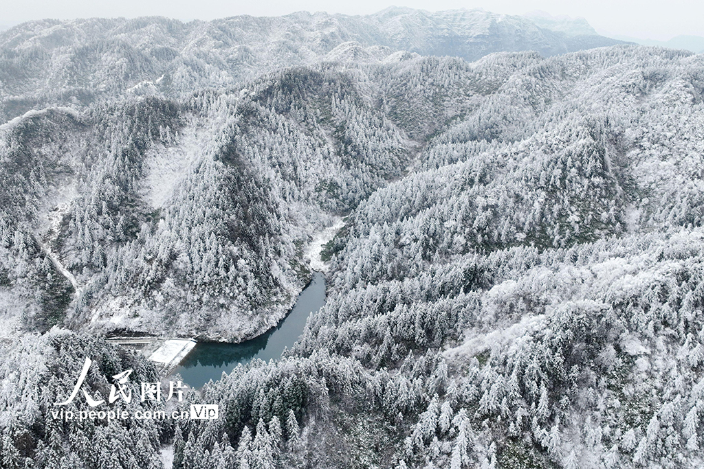 重庆：冰雪裹群山 雾凇绘冬韵【5】