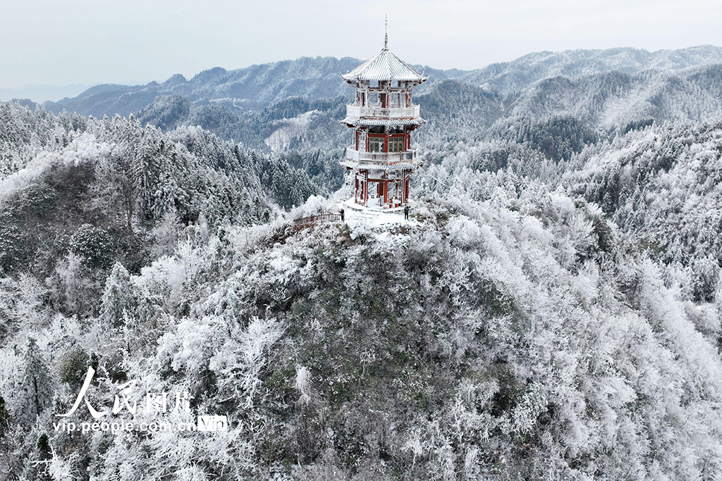 重庆：冰雪裹群山 雾凇绘冬韵【6】