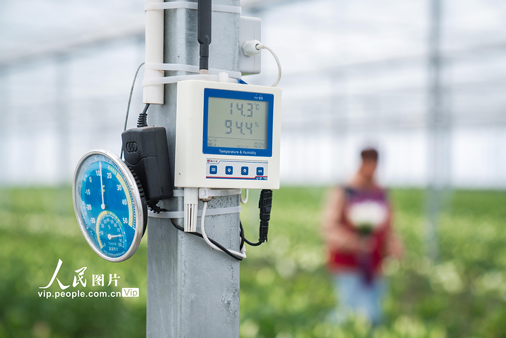 浙江金华：“美丽经济”赋能乡村振兴【5】