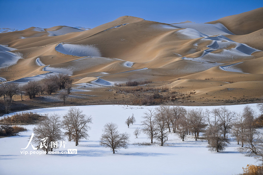新疆尉犁：雪后大漠美如画【3】