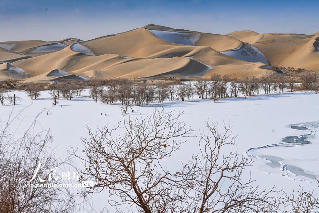新疆尉犁：雪后大漠美如画【4】