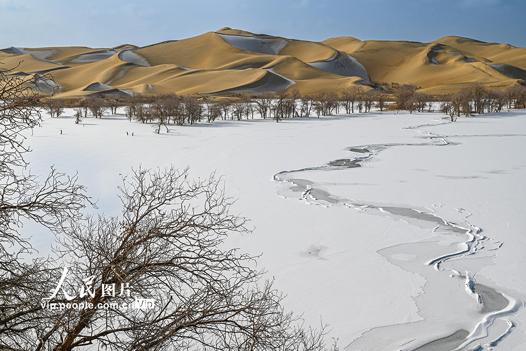 新疆尉犁：雪后大漠美如画【6】