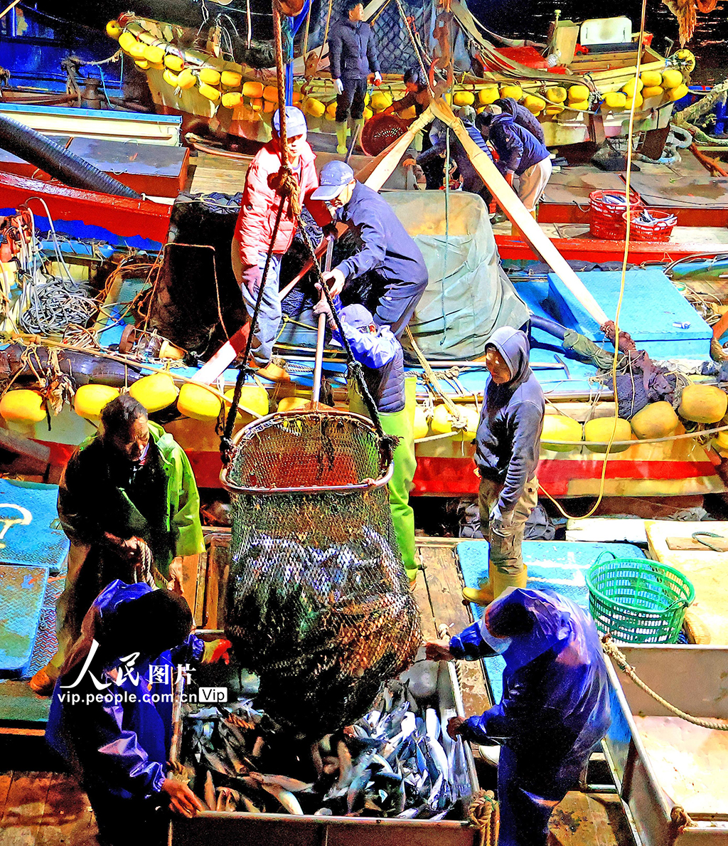 浙江玉环：渔获丰收【3】