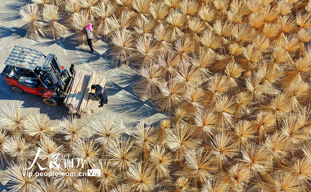 江西广昌：竹产业助农增收【3】