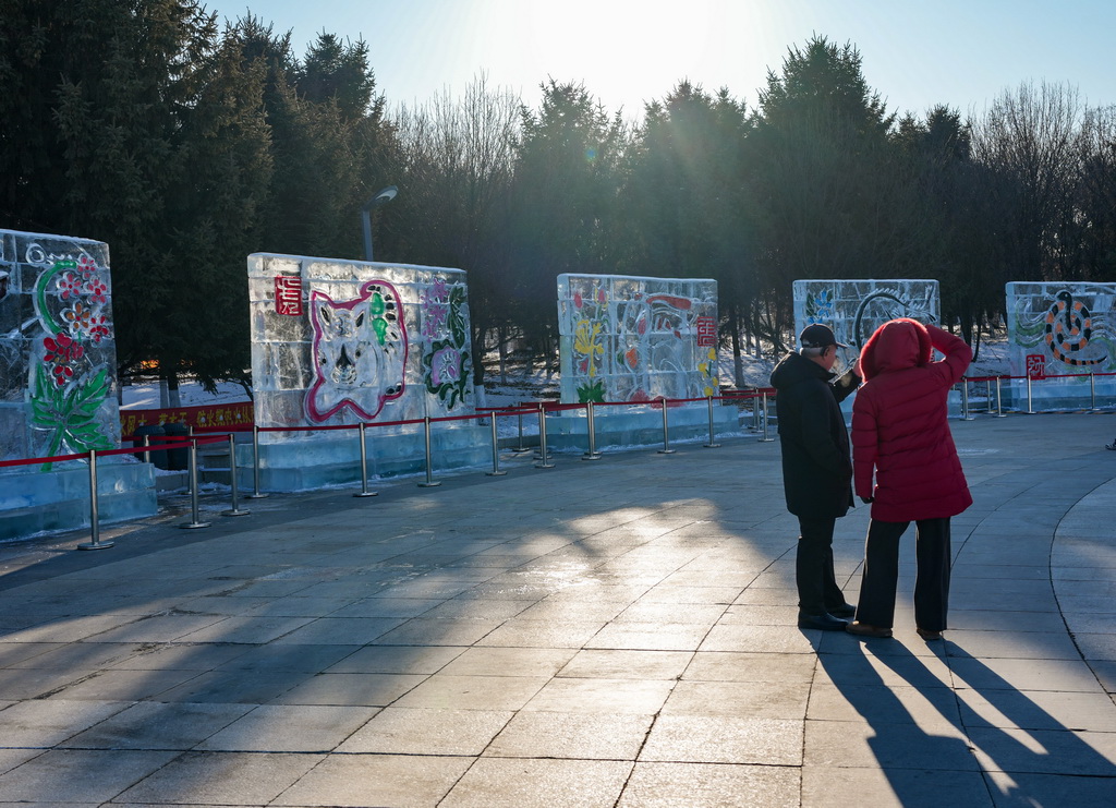 1月5日，游客在长春世界雕塑园观赏特色冰雕画。新华社记者 颜麟蕴 摄