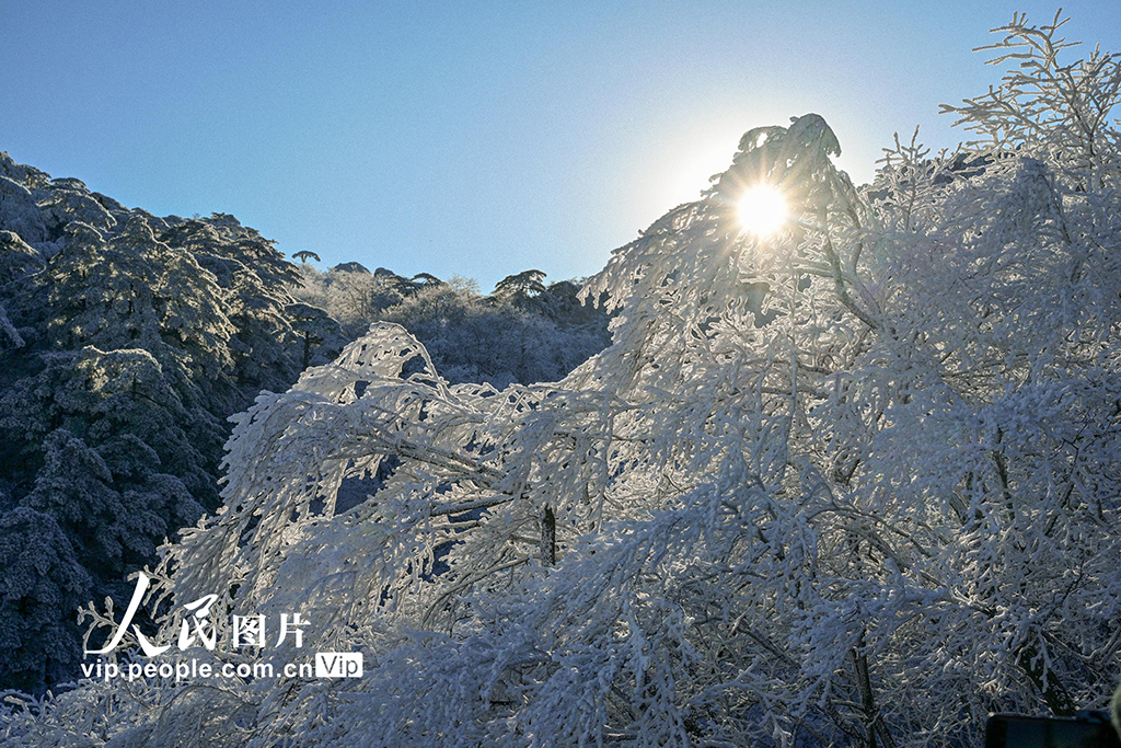 黄山 银装素裹【4】
