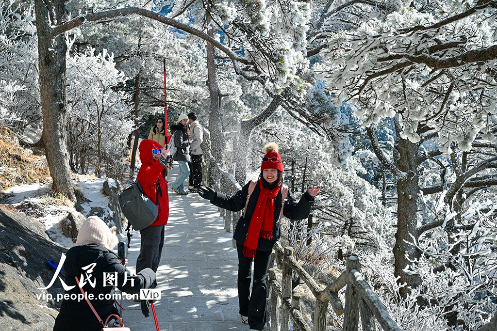 黄山 银装素裹【2】