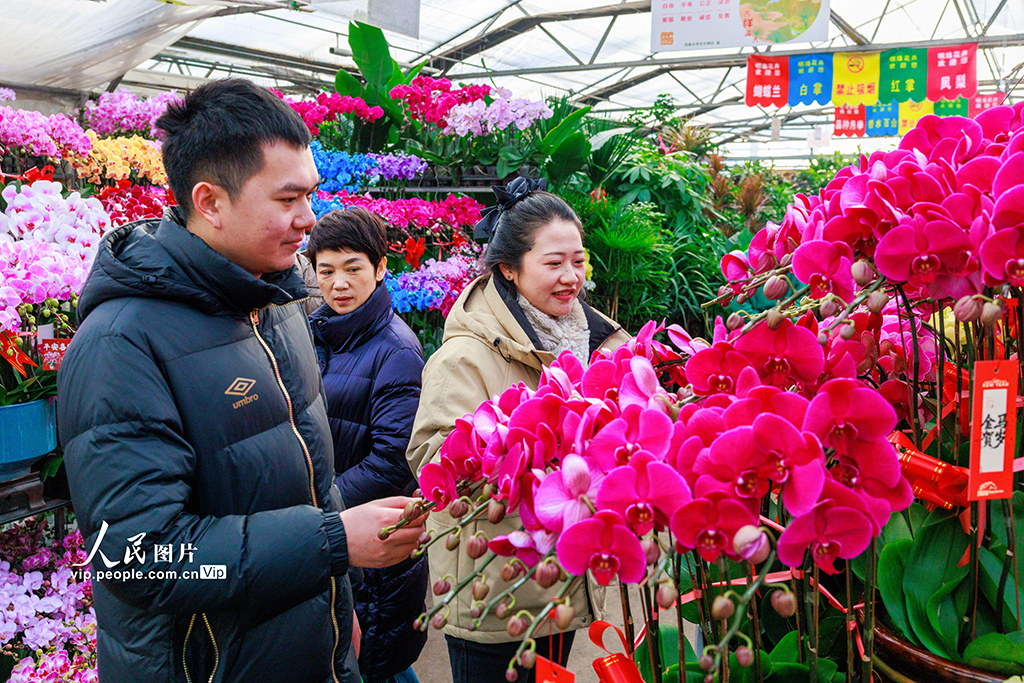 新疆乌鲁木齐：花卉俏销【5】